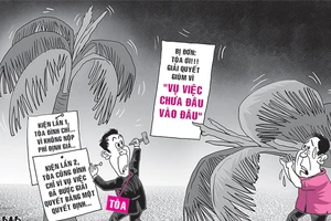 Kiện hàng xóm đòi bồi thường 2 cây dừa