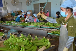 Mỹ-Trung ăn miếng trả miếng: Hàng Việt bị vạ lây