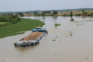 Dân lo bờ sông Vàm Cỏ Đông sạt lở vì khai thác cát