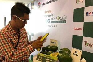 Xây dựng tour du lịch đặc sản bơ Tây Nguyên