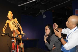 Sở Văn hóa-Thể thao TP.HCM nói về triển lãm cơ thể người