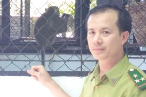 Ba lý do không nên nuôi khỉ trong nhà