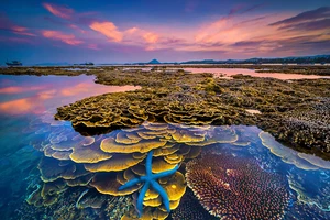 Trao giải Cuộc thi ảnh nghệ thuật du lịch toàn quốc lần thứ 8