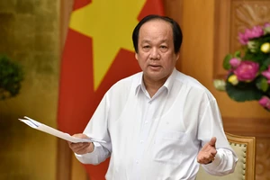 Kết liễu giấy phép con kiểu ‘có cũng như không’