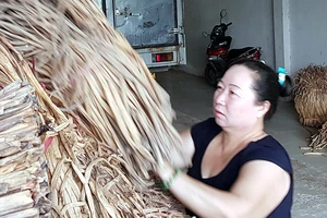 9 năm đòi công lý của ‘nữ hoàng lục bình’