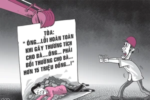 Phải đền tiền vì đẩy người ngã xuống đống đá