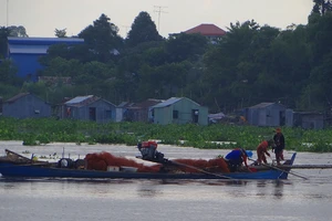 Thủy điện đe dọa nguồn sống đồng bằng sông Cửu Long