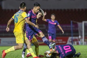 Báo động sân cỏ xấu xí