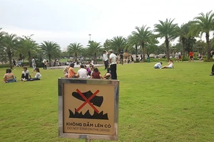 Người Việt thích là làm, bất chấp thị phi