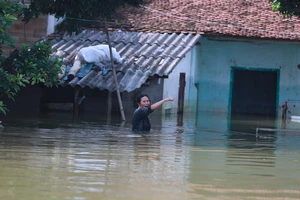 Người dân Hà Nội chống chọi với lũ ít nhất 1 tháng nữa