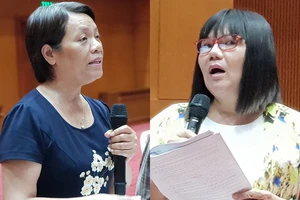 Tranh cãi về luật sư làm… đại lý thuế