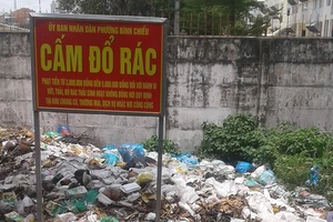 Có biển cấm vẫn như không