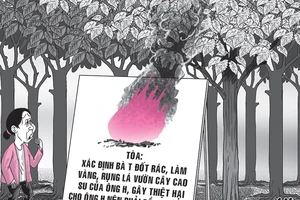 Đốt rác làm rụng lá cao su, phải đền tiền