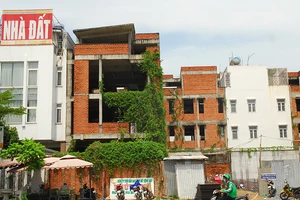 Cò thổi giá đất ăn theo cầu Cát Lái