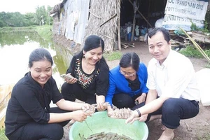 Chuyện bà Mai Thi ‘lên bờ xuống ruộng’