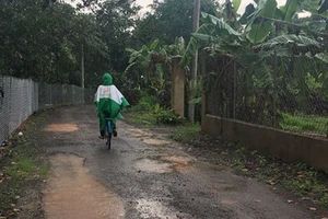 Đồng Nai: Điều tra sai phạm khi làm đường nông thôn