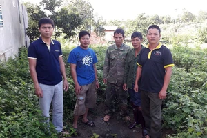 Cưa gỗ trắc rừng đặc dụng: Tòa từng xử tội hủy hoại rừng