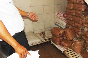 Bà Phạm Khánh Phong Lan nói về vụ Kiều Giang