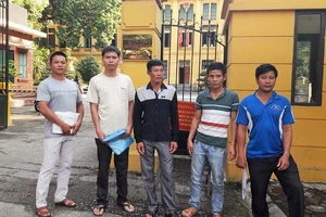 Cưa cây chết khô bị tội nặng hơn cưa cây còn sống?