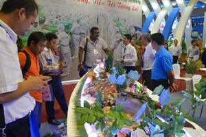 Cá tra Việt Nam lại bị chơi xấu ở nước ngoài