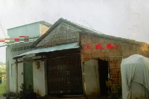 Hệ lụy khi chuyển nhượng đất bằng ‘ranh miệng’