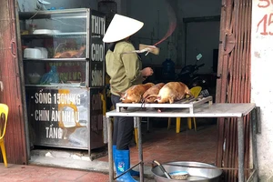 Khuyến khích dân không ăn thịt chó: Văn minh