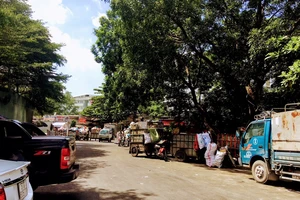 Dân bức xúc vì vừa bịt mũi vừa sống chung với rác