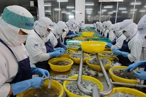 Tôm, cá Việt rộng đường sang Mỹ