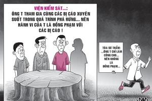 Kháng nghị hủy án vụ thuê người chặt phá rừng