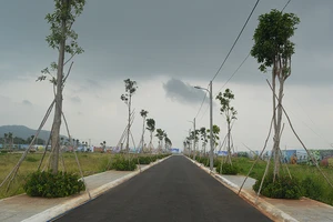 Bà Rịa-Vũng Tàu bàn việc sửa quy định tách thửa đất