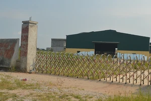 Bỏ 23 tỉ mua đất đấu giá rồi để… cỏ mọc