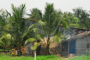 Dự án Thanh Đa: Cần đấu thầu rộng rãi