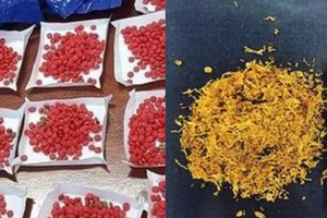 Gần 600 loại ma túy hoành hành ở Việt Nam