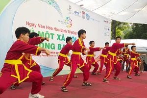 'Xe lăn đao' của môn phái Việt Nam võ đạo Tây Sơn Bình Định