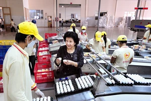 ‘Hôn nhân’ quỹ đầu tư với doanh nghiệp liên tục tan vỡ