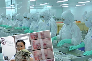 Giá nhân dân tệ xuống thấp tác động đến Việt Nam ra sao? 