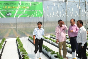 Về hợp đồng đưa người của SAGRI du lịch nước ngoài