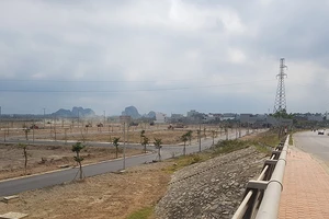 Giả văn bản của lãnh đạo để thổi giá đất là quá liều lĩnh