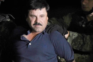 Bố già Mexico từ đời đến phim