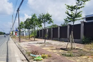 Vụ đền 5 tỉ ở Cà Mau: ‘Ở nhà thuê, tiền đâu mà đền?’