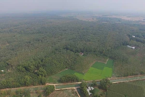 Sagri có vi phạm gì đối với 1.900 ha đất?