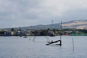 Bình Định: Bao giờ xóa bẫy trụ điện giữa đầm?