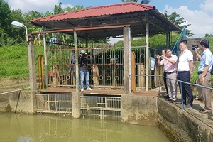 Miền Trung: Cơn hạn hán lịch sử đang tái diễn