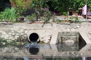 Cụm công nghiệp không xử lý nước thải giữa TP Hải Phòng