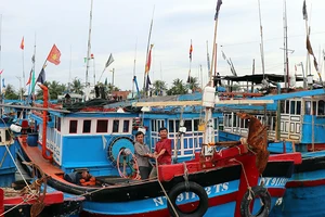 Chủ động ứng phó với bão số 9