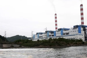 Phó Thủ tướng: Phải cung ứng đủ than cho nhiệt điện