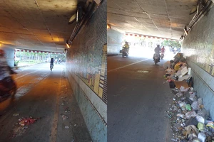 Dạ cầu Kiệu đã sạch rác