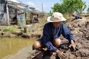 Ác mộng hà bá ở cồn Phú Đa, Bến Tre