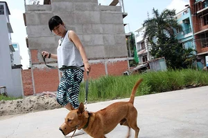 Những quy định người nuôi chó phải biết