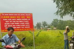 Chưa có đất đã phân lô bán nền